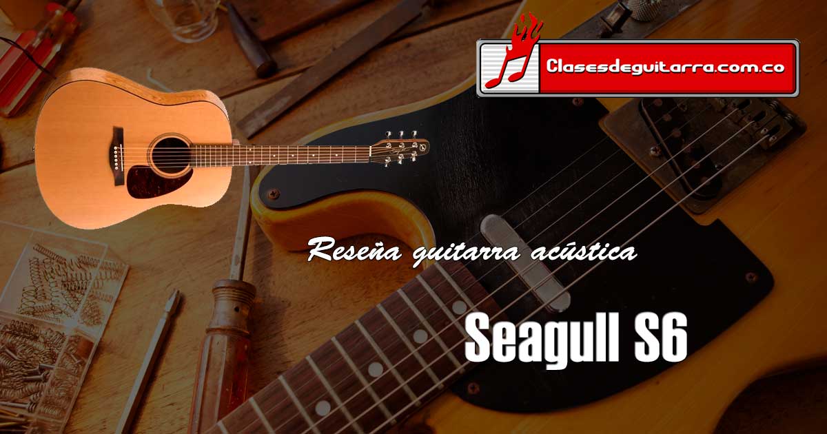 Seagull S6