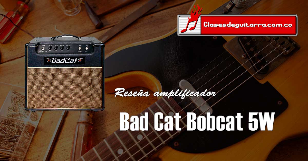 Reseña amplificador de guitarra Bad Cat Bobcat 5W