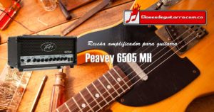 Peavey 6505